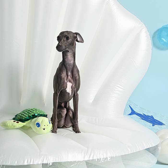 HugSmart Pet - Ocean Pals | Sea Turtle - Dog Rope Toy