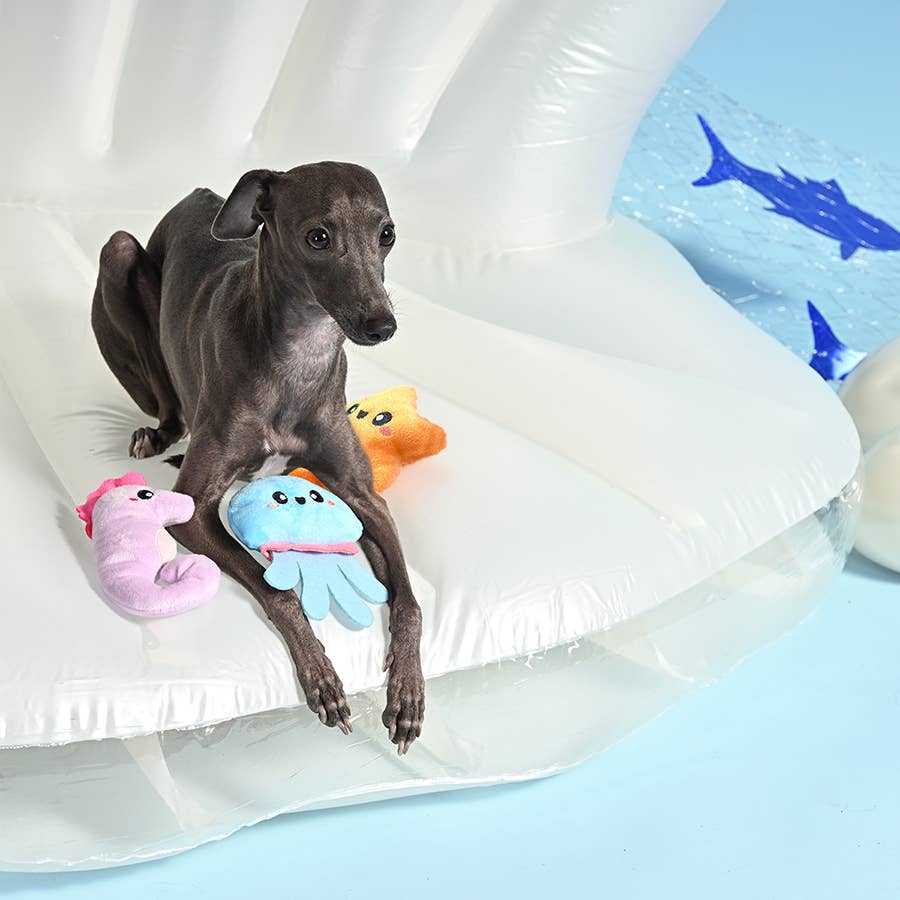 HugSmart Pet - Ocean Pals | Aqua Friends - Dog Rope Toy