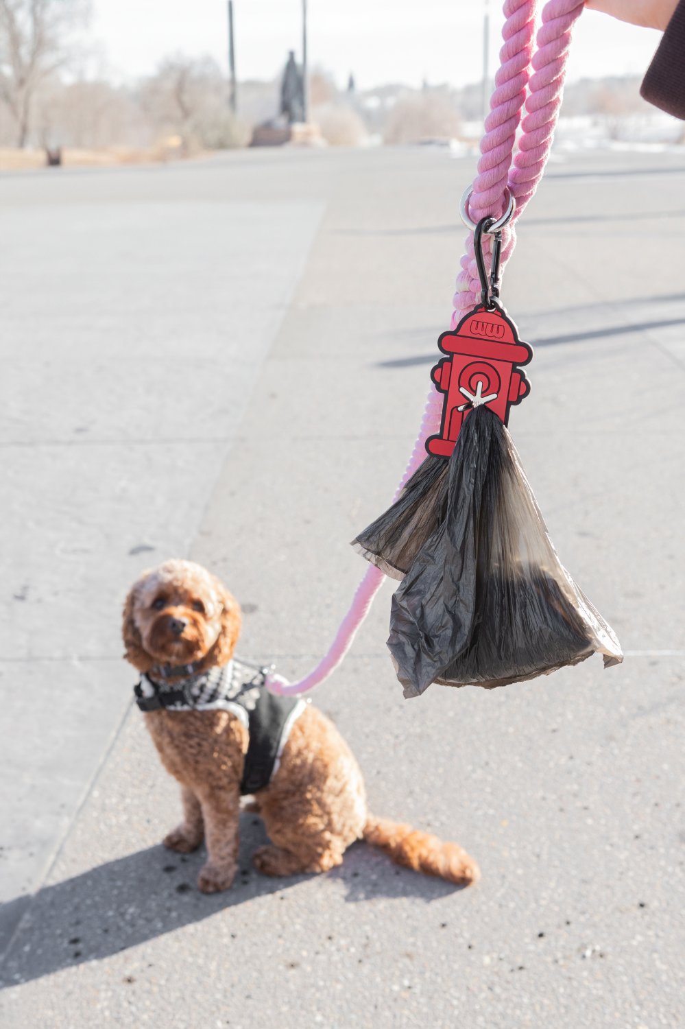 Fire Hydrant Poopy Loop®