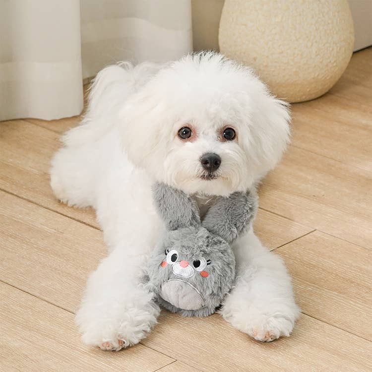 HugSmart Pet - Farm Friendz | Bunny - Dog Ball Toy