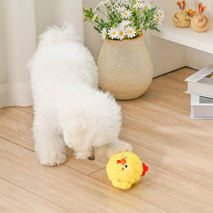 HugSmart Pet - Farm Friendz | Chick - Dog Ball Toy