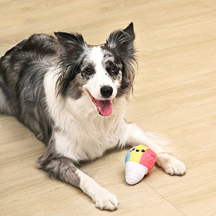 HugSmart Pet - Beach Daze | Shaved Ice - Dog Ball Toy
