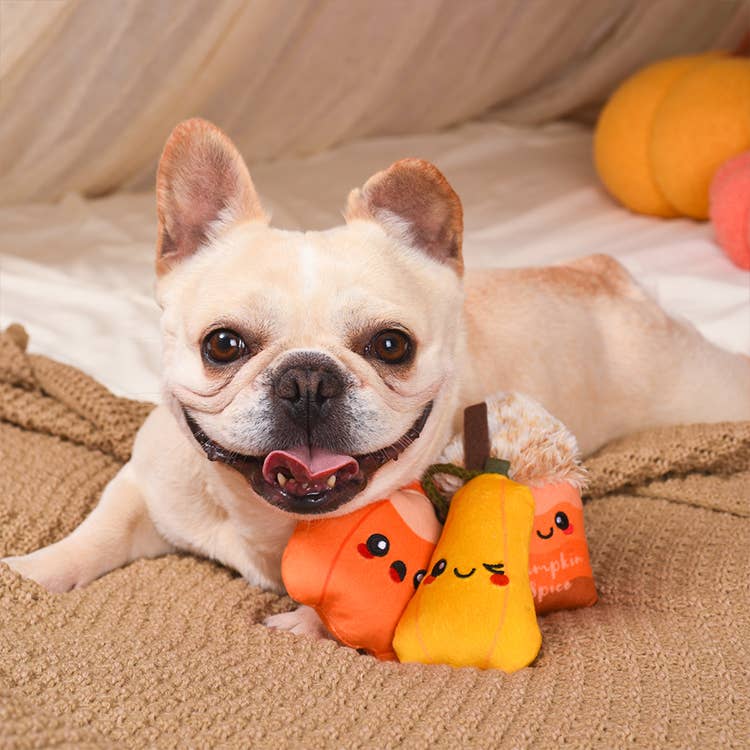 HugSmart Pet - Autumn Tailz  | Pumpkin Play - Dog Plush Toy