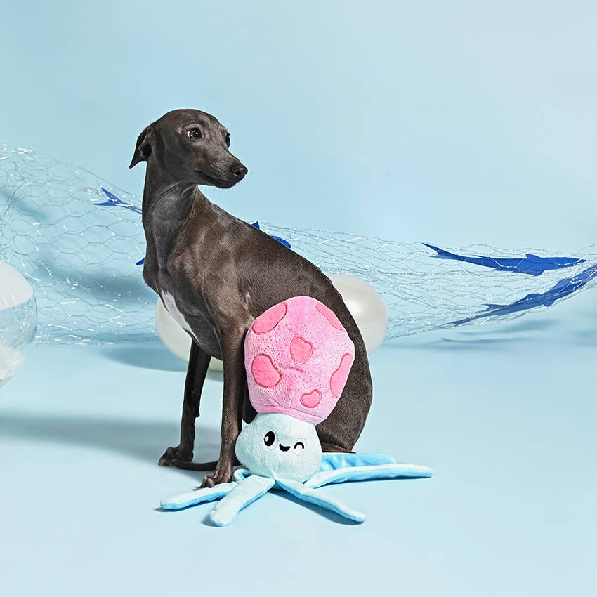 HugSmart Pet - Ocean Pals  | Squid - Dog Plush Toy