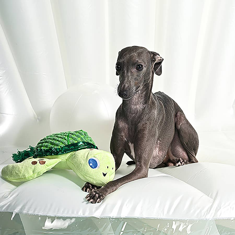 HugSmart Pet - Ocean Pals  | Sea Turtle - Dog Rope Toy
