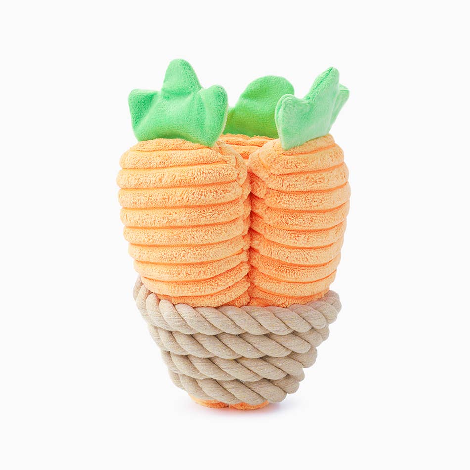 HugSmart Pet - Puppy Garden | Carrot Bunch - Dog Rope  Toy