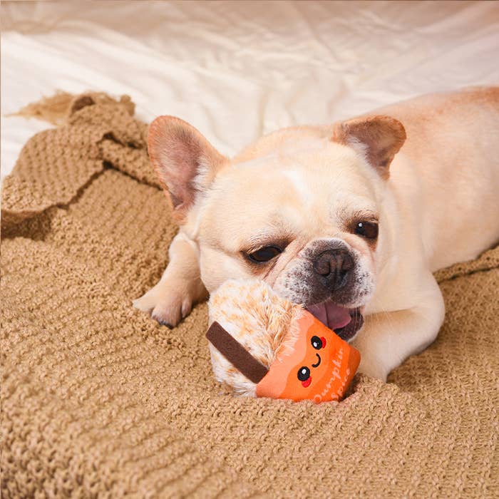 HugSmart Pet - Autumn Tailz  | Pumpkin Play - Dog Plush Toy