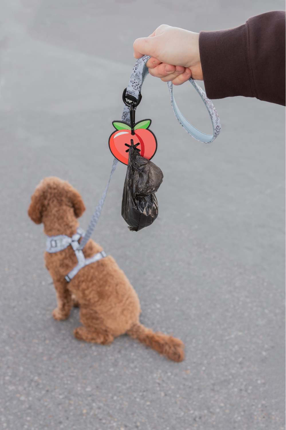 Peach Poopy Loop®