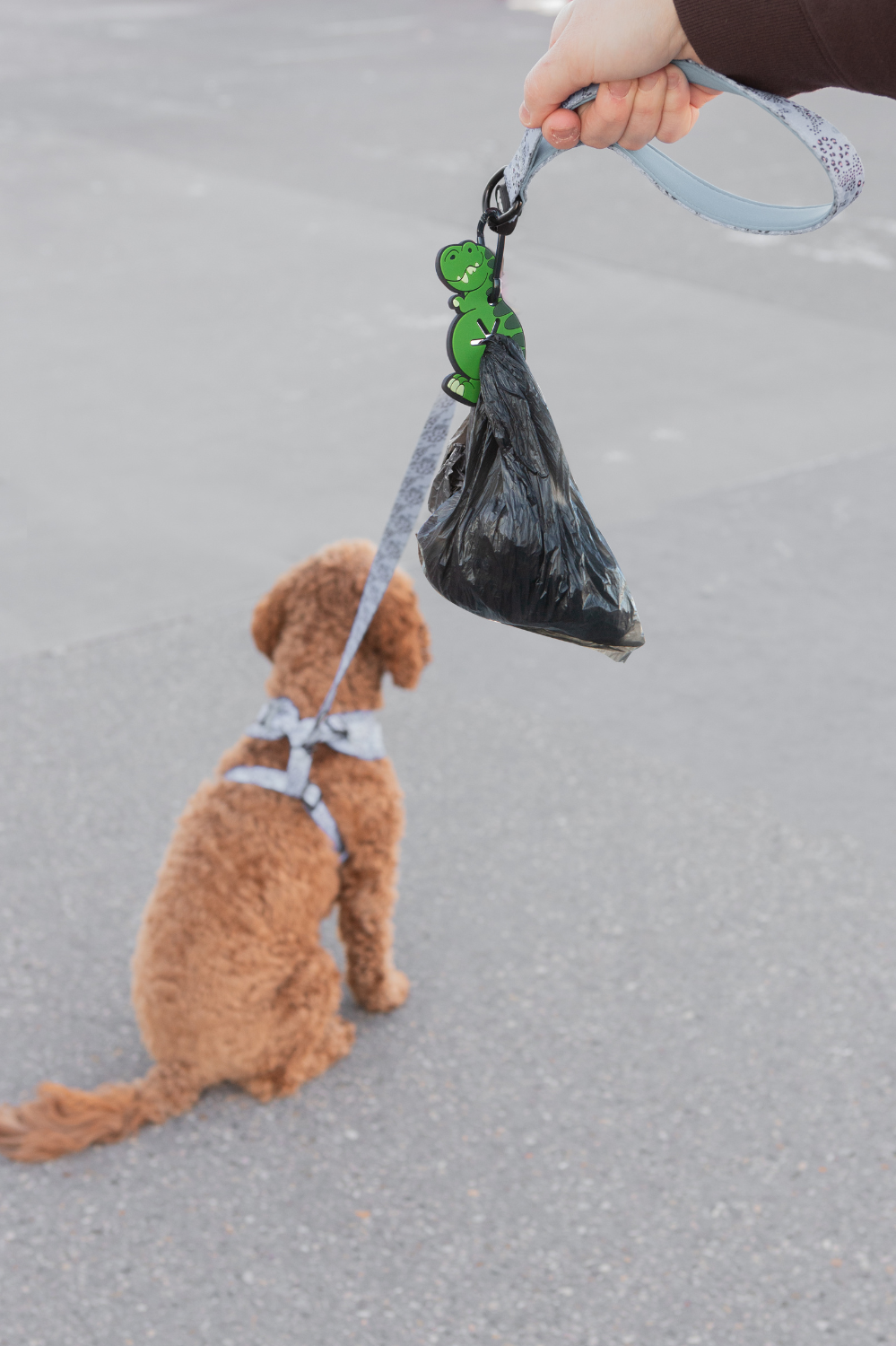 Dinosaur Poopy Loop®