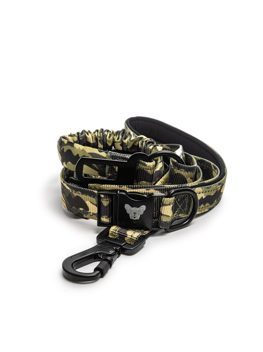 Bungee Dog Leash & Seatbelt Combo
