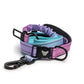 Bungee Dog Leash & Seatbelt Combo