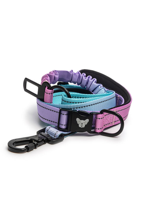 Bungee Dog Leash & Seatbelt Combo