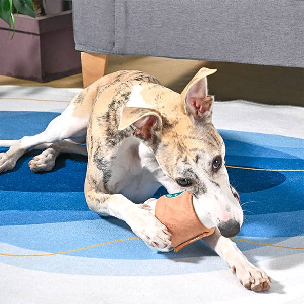 HugSmart Pet - Coffee Hour | StarPaws Coffee- TPR Rubber Toy