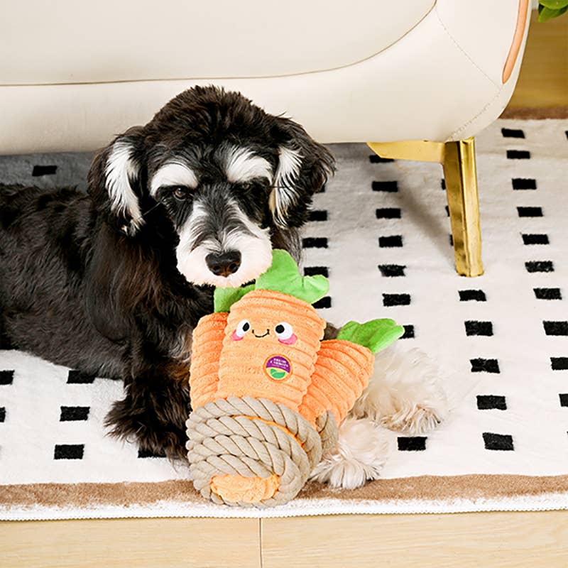 HugSmart Pet - Puppy Garden | Carrot Bunch - Dog Rope  Toy