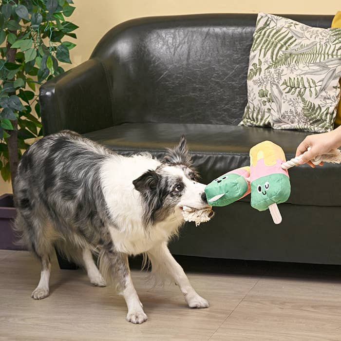HugSmart Pet -Beach Daze  | Twin Pop - Dog Rope Toy