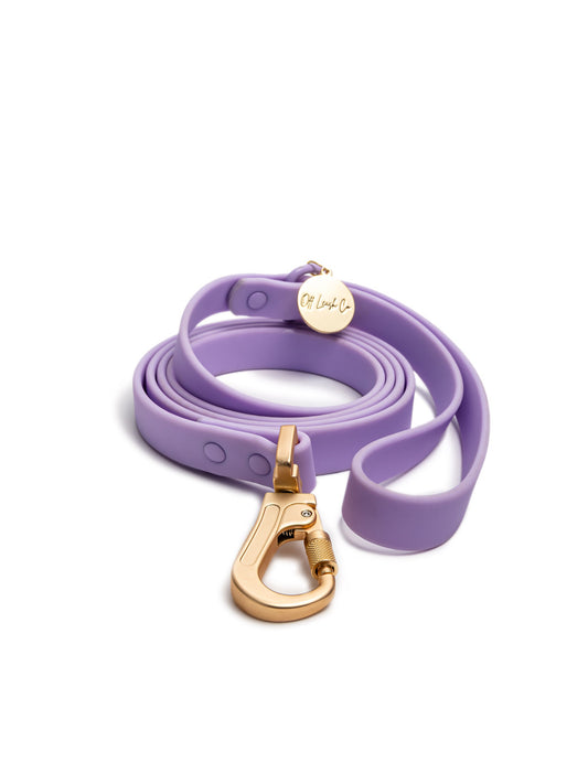 PVC Dog Leash