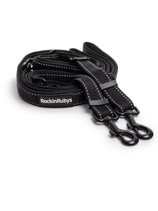 Two-Dog Leash